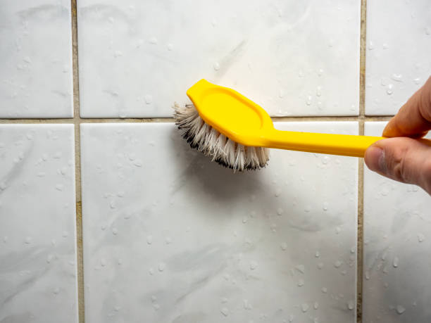 Best Commercial Mold Removal  in Emmon, AK