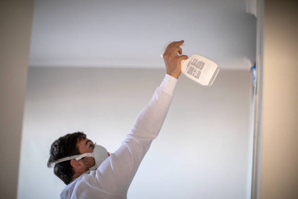 Best Mold Removal Company Near Me  in Emmon, AK