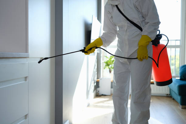 Best Mold Removal Company Near Me  in Emmon, AK