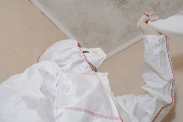 Best Black Mold Removal  in Emmon, AK