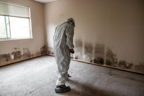 Best Crawl Space Mold Removal  in Emmon, AK